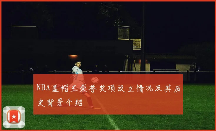 NBA盖帽王荣誉奖项设立情况及其历史背景介绍