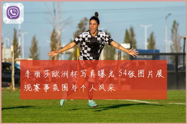 李丽莎欧洲杯写真曝光 54张图片展现赛事氛围与个人风采