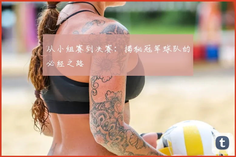从小组赛到决赛：揭秘冠军球队的必经之路