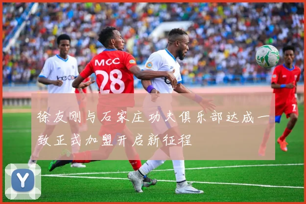 徐友刚与石家庄功夫俱乐部达成一致正式加盟开启新征程