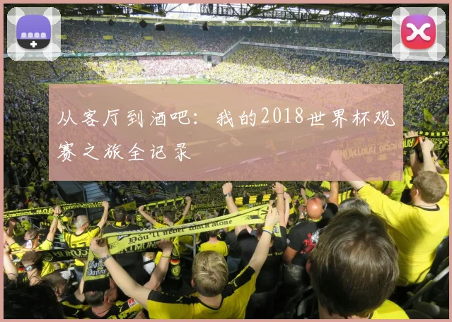 从客厅到酒吧：我的2018世界杯观赛之旅全记录