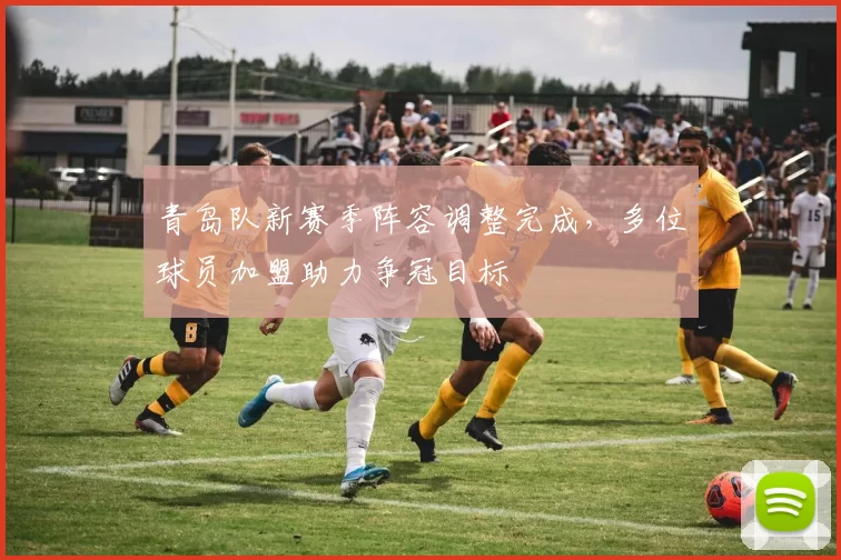 青岛队新赛季阵容调整完成,多位球员加盟助力争冠目标