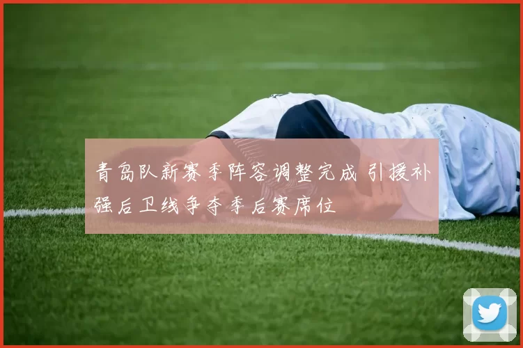 青岛队新赛季阵容调整完成 引援补强后卫线争夺季后赛席位